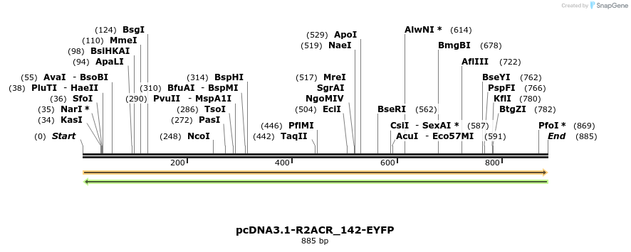 196898_map