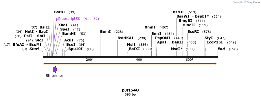 19693_map