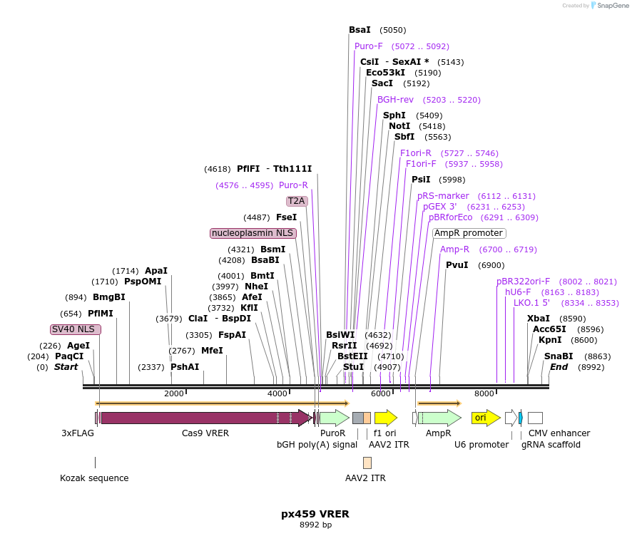 196972_map