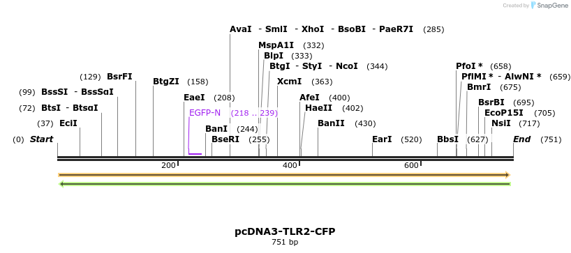 19702_map