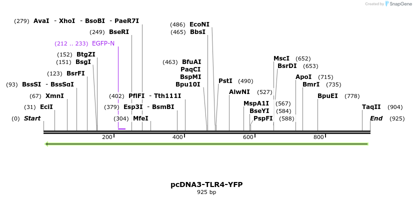 19704_map