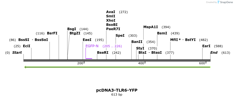 19707_map