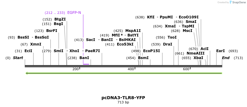 19710_map