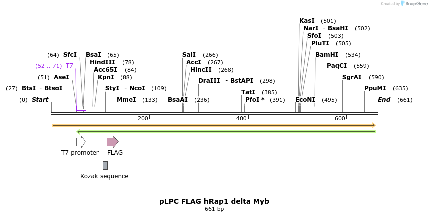 19721_map