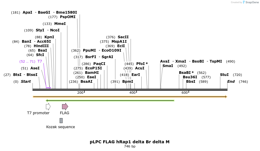 19724_map