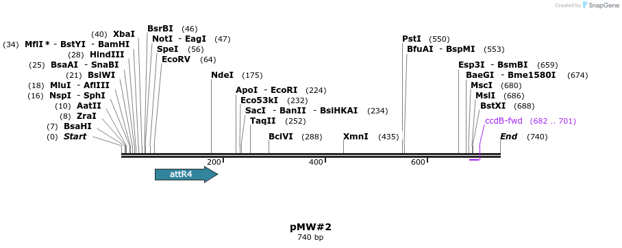 19728_map