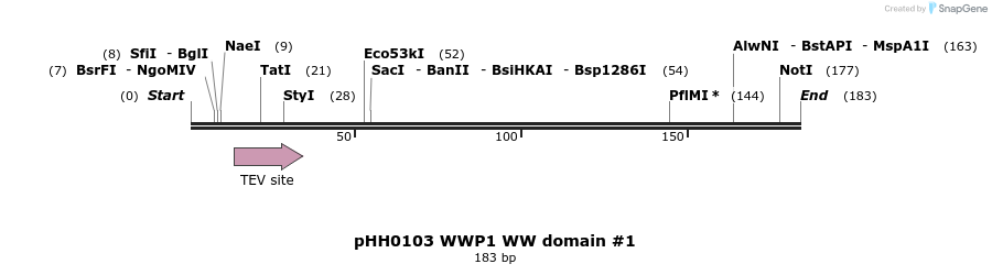 197372_map