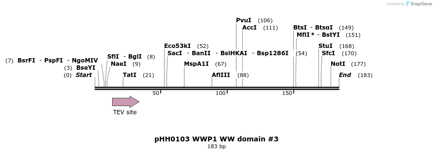 197374_map