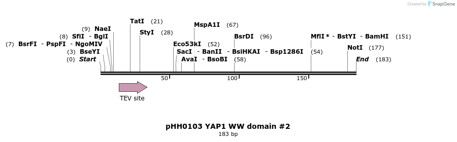 197380_map