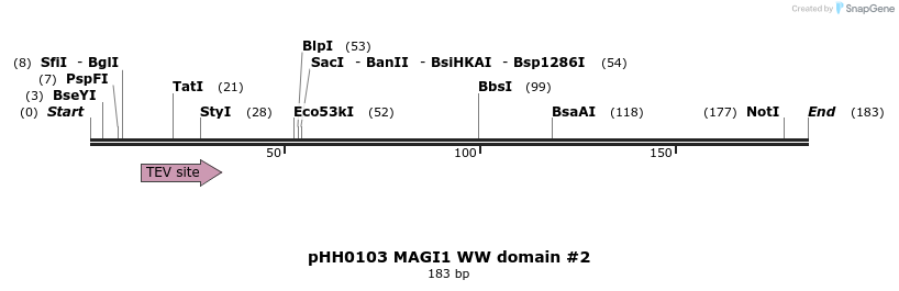 197395_map