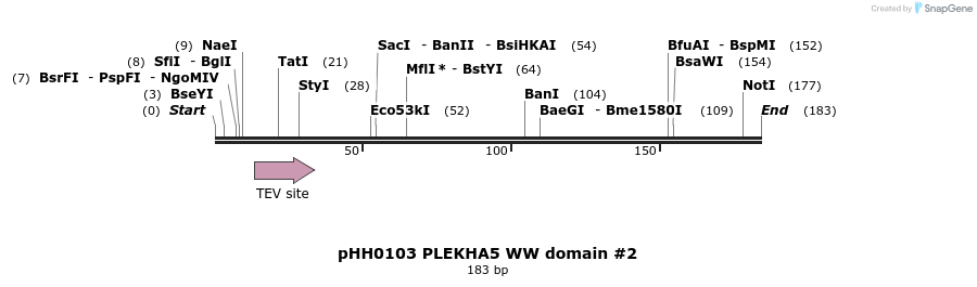 197411_map
