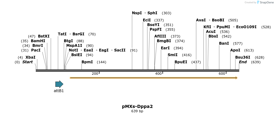 19742_map