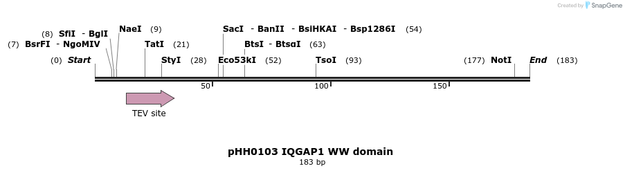197431_map