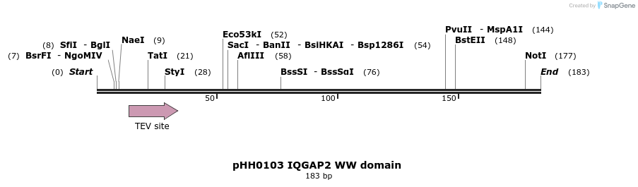 197432_map