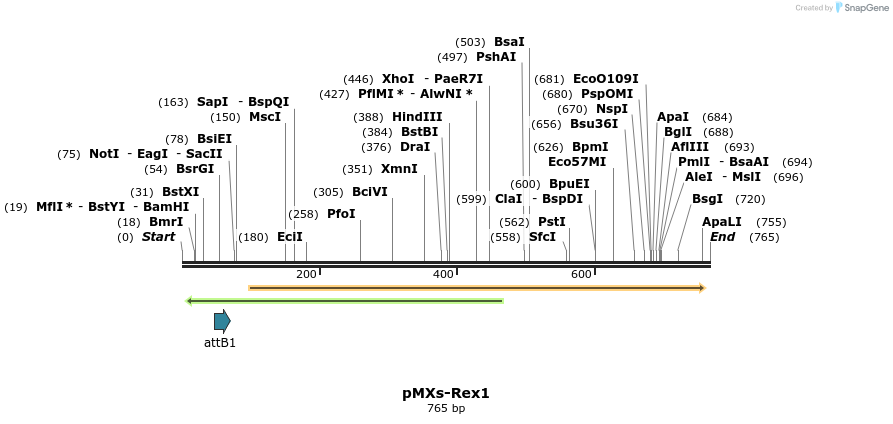19747_map