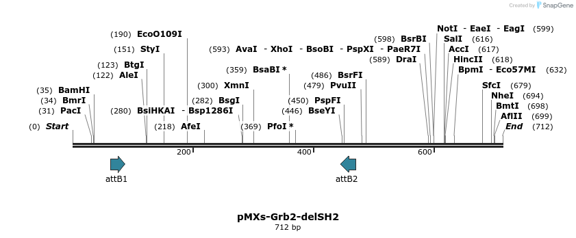 19754_map