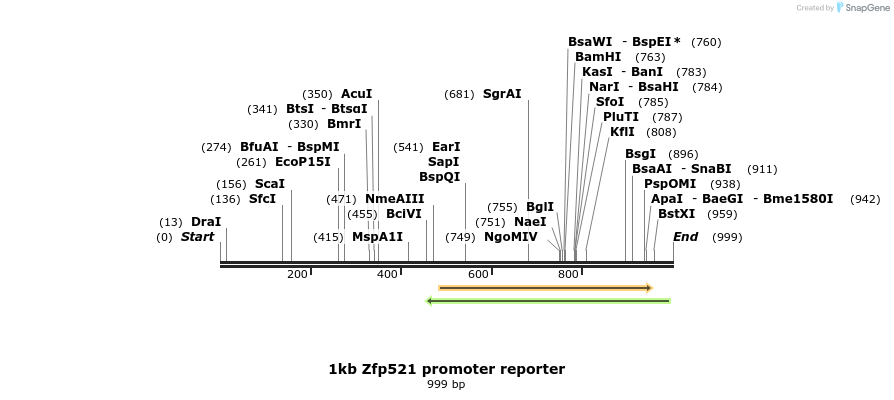 197554_map