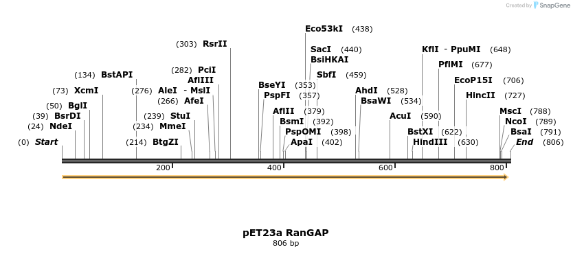 19761_map