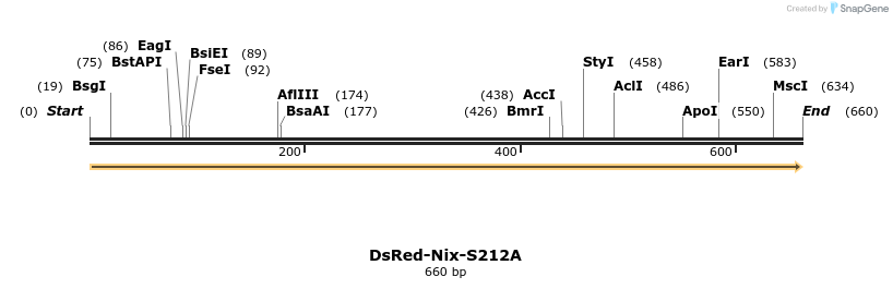 197623_map