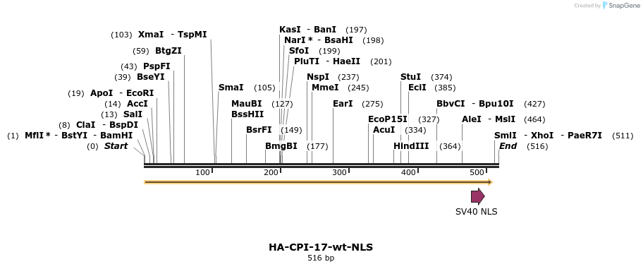 197644_map