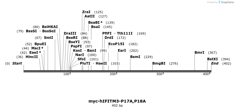 197678_map