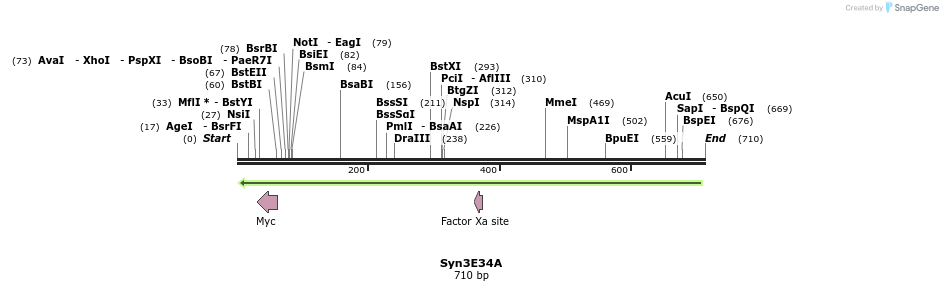 19780_map