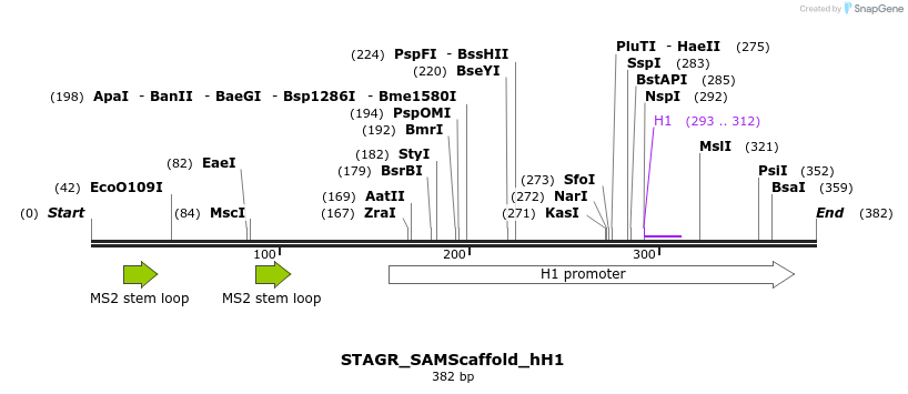 197807_map