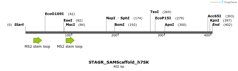 197808_map