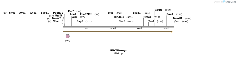 197866_map