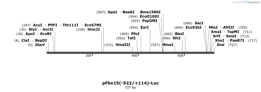 19795_map