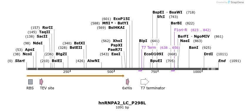 198017_map