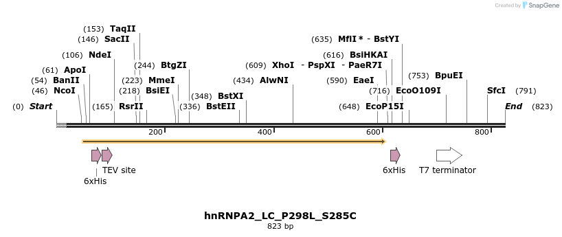 198019_map