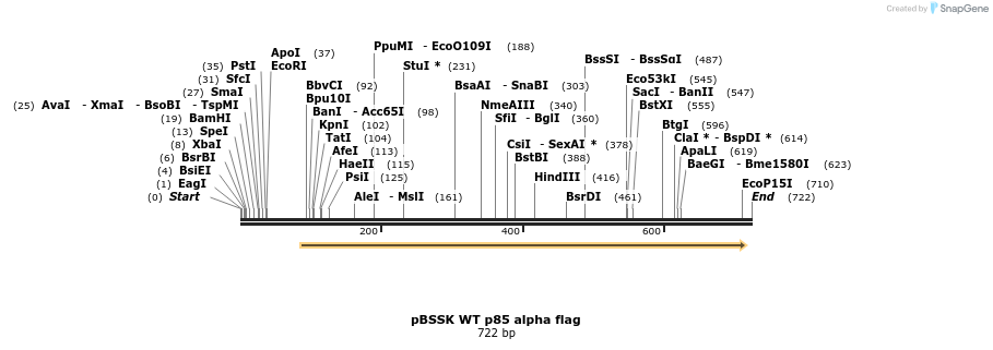 19802_map