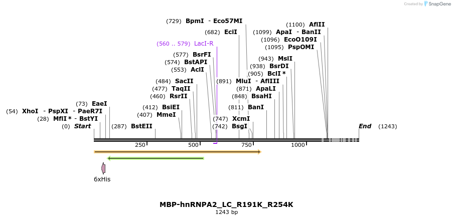 198020_map