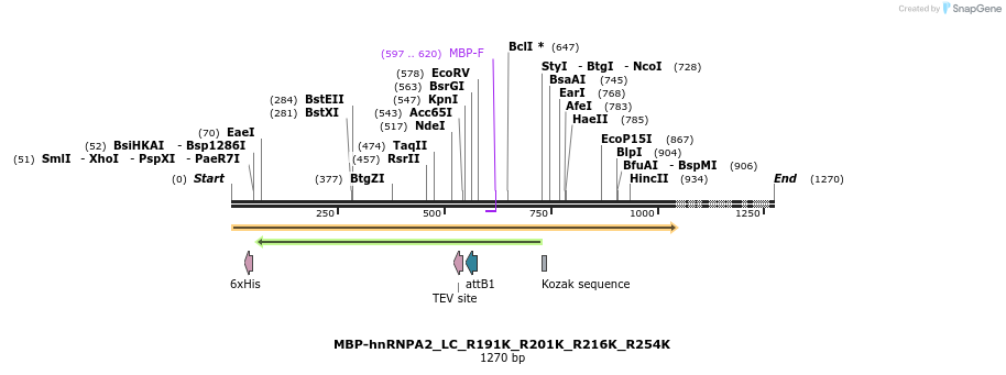 198021_map