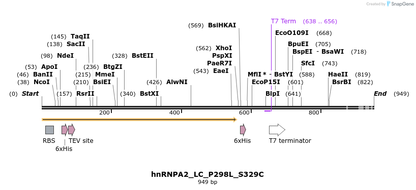 198022_map