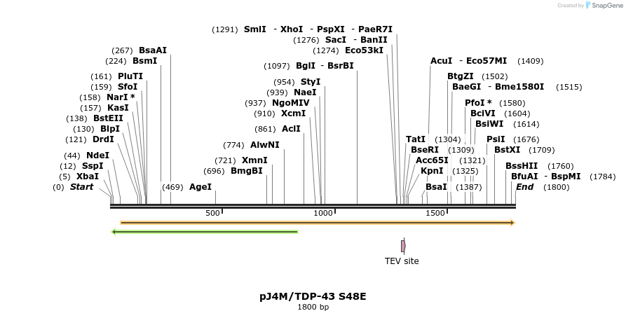 198027_map