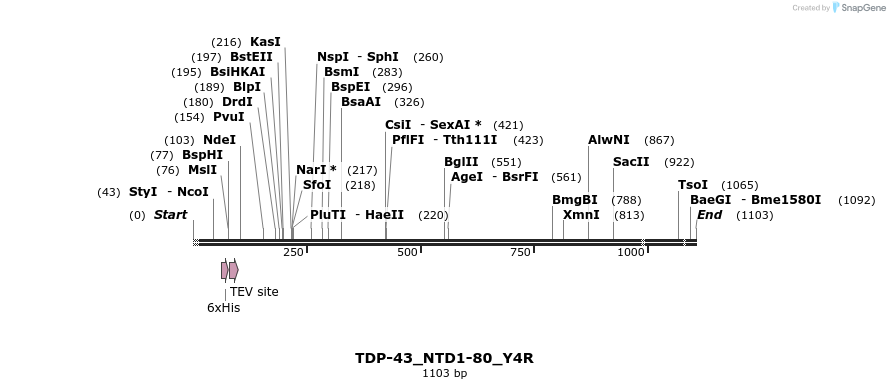 198028_map
