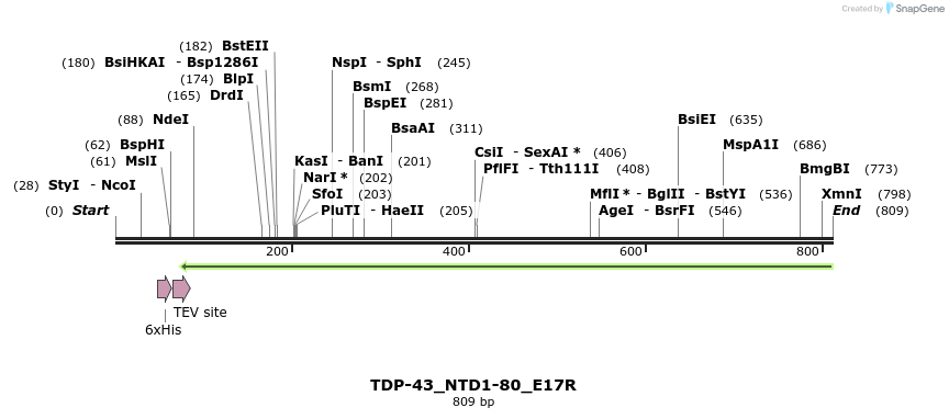 198030_map