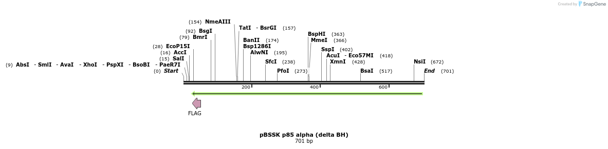 19804_map