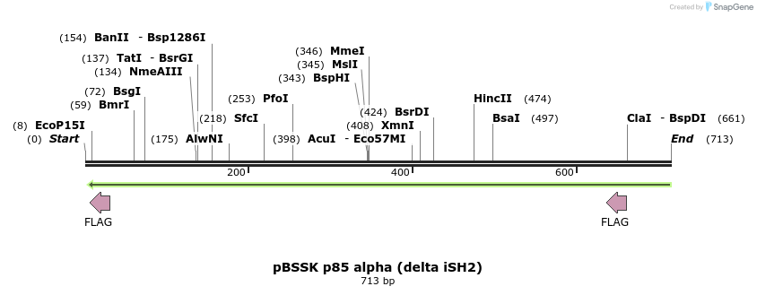 19805_map