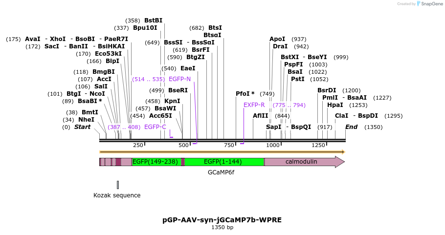 198057_map