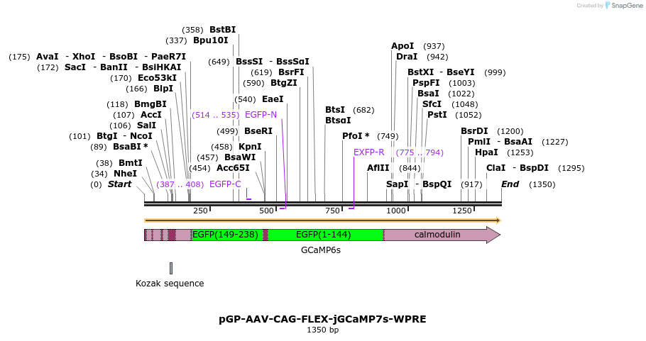 198063_map