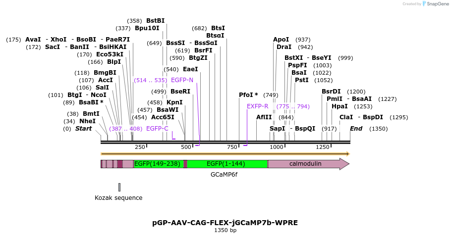 198065_map