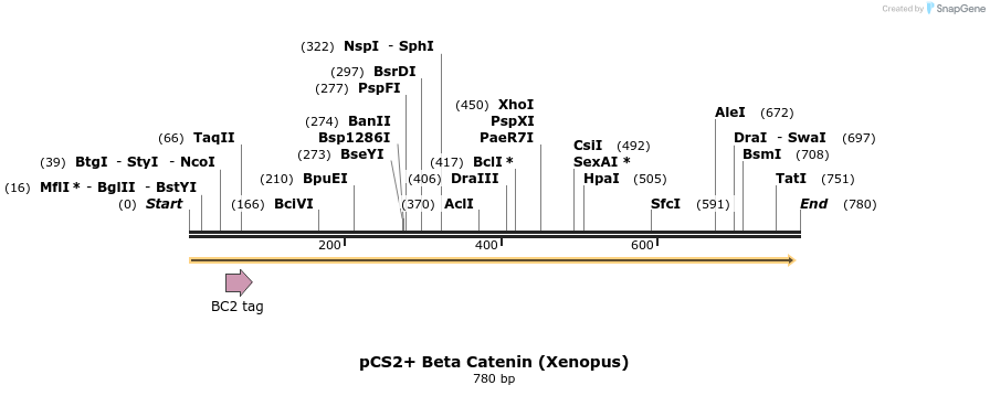 19809_map