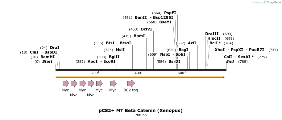 19810_map