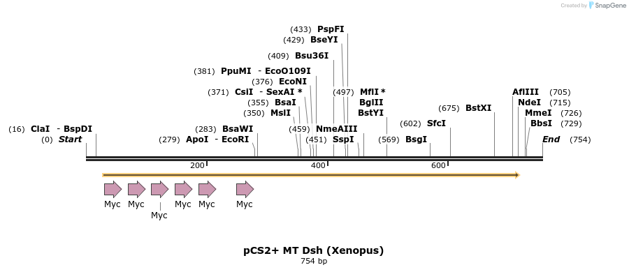19812_map