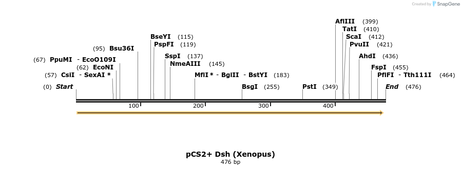 19813_map