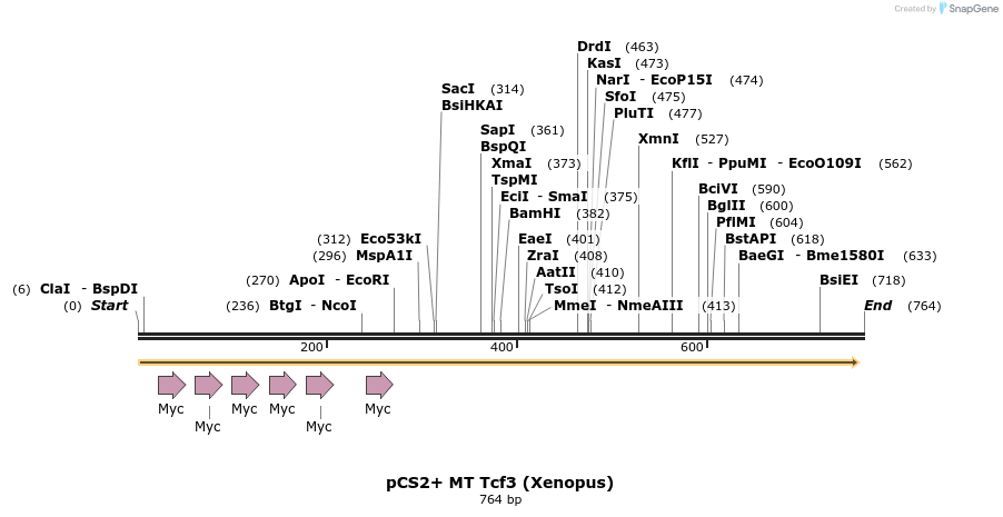 19814_map