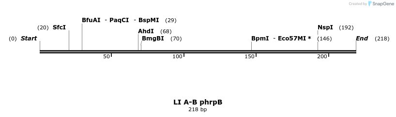 198147_map